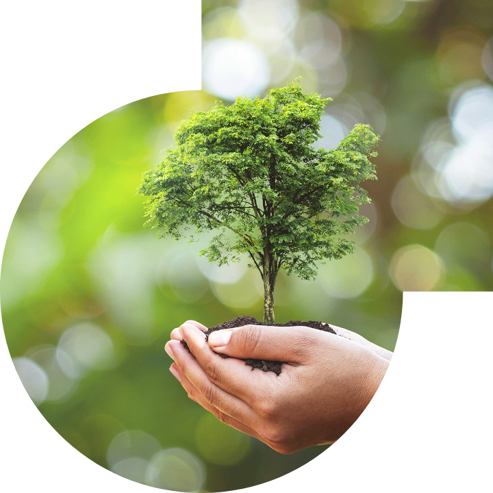 关怀人类、文化、环境与社会